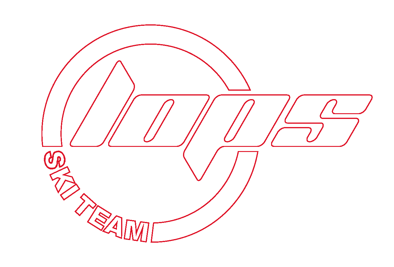 light logo